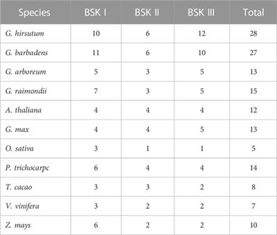 Characterization and gene expression patterns analysis implies BSK family genes respond to salinity stress in cotton